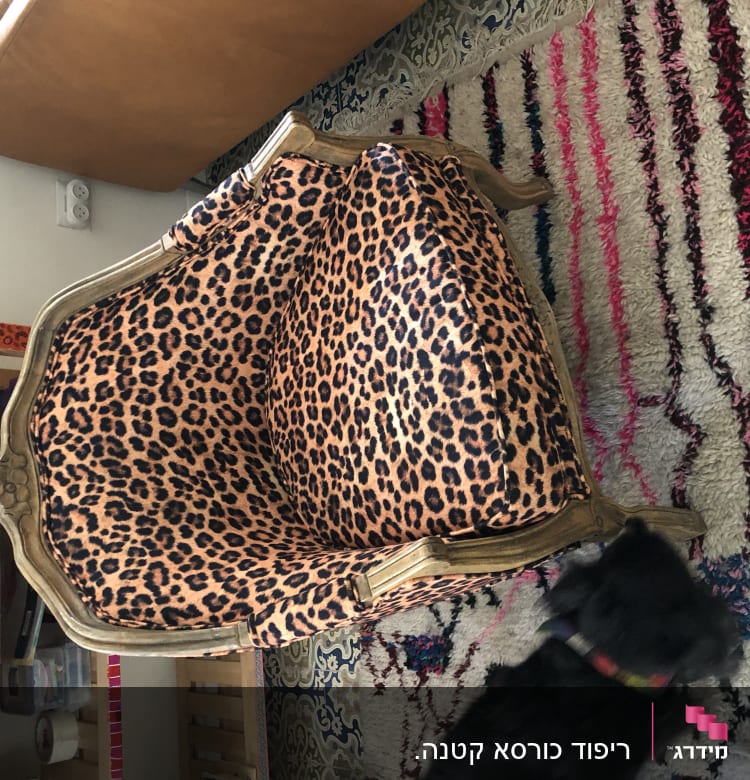 כיסא מרופד בדוגמת נמר על שטיח צבעוני